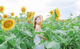 滴天居士2021年十二生肖运势